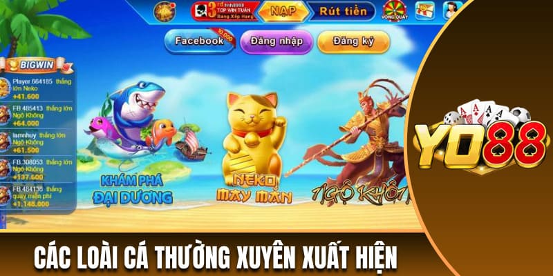 Các loài cá thường xuyên trở thành mục tiêu của người chơi 